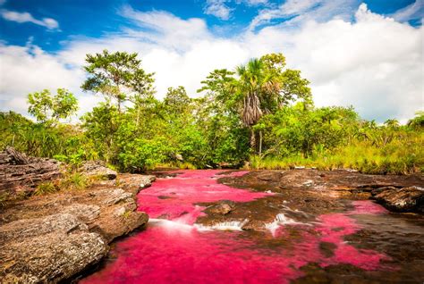  Natura: Portraits of Colombia's Untamed Beauty, A Photographic Journey Through Nature's Majesty