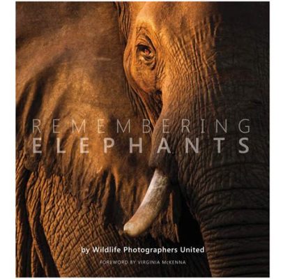  Remembering Elephants - A Lyrical Journey Through Love and Loss