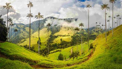  The Colombian Landscape: An Ode to Biodiversity